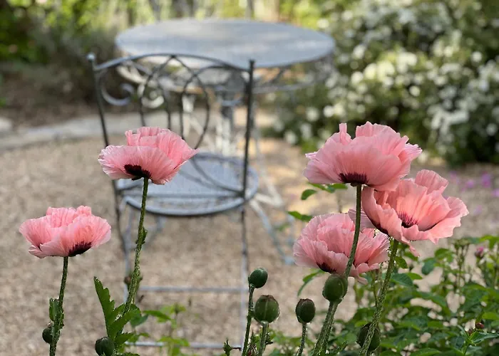 B&B Rosenliebe