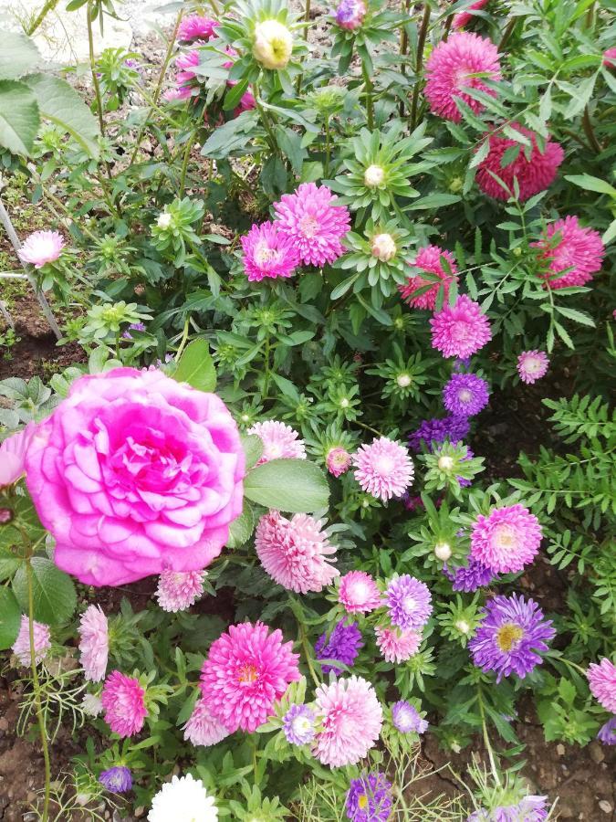 Rosenliebe * Niedereschach