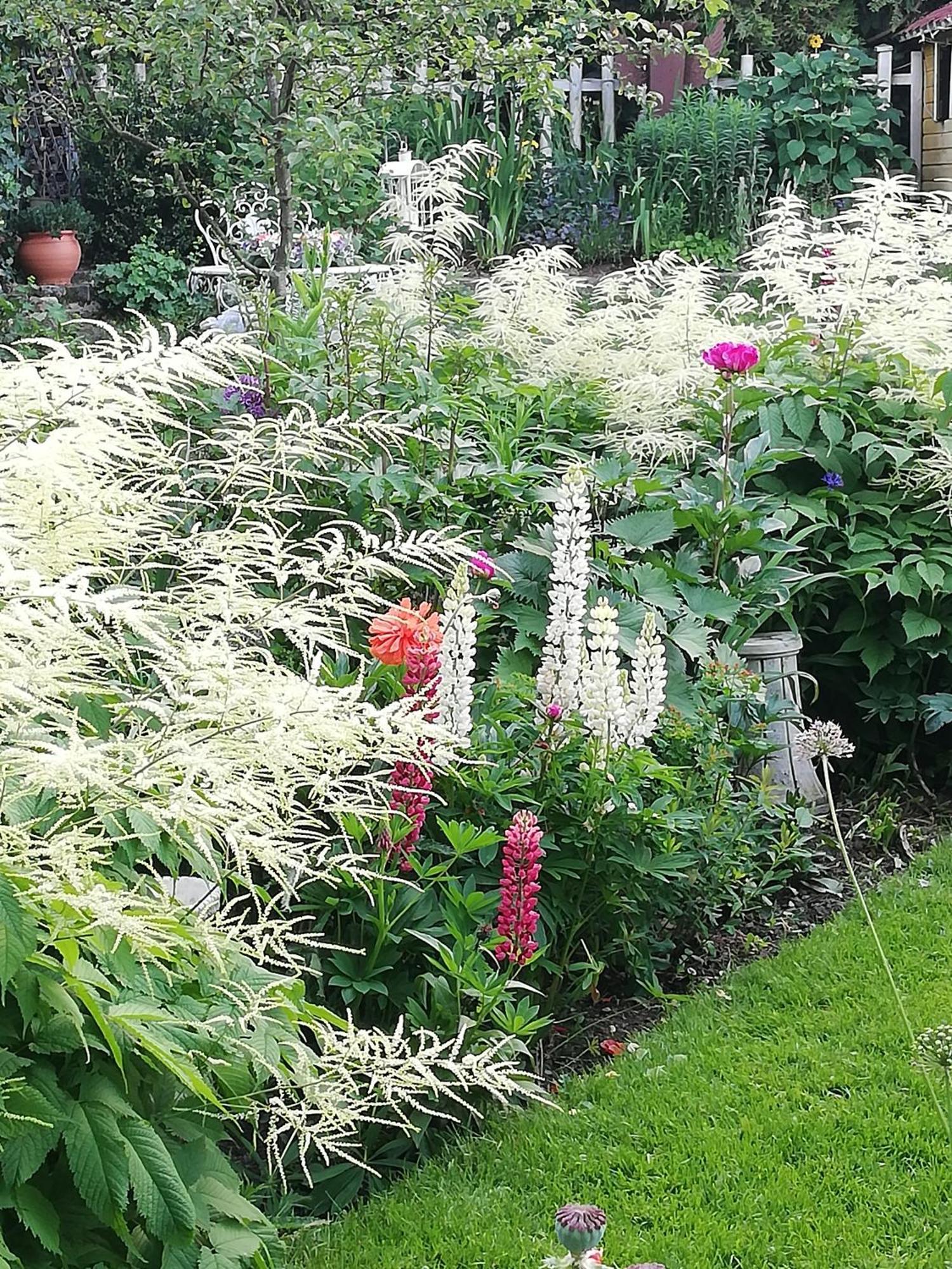 Bed & Breakfast Rosenliebe Niedereschach