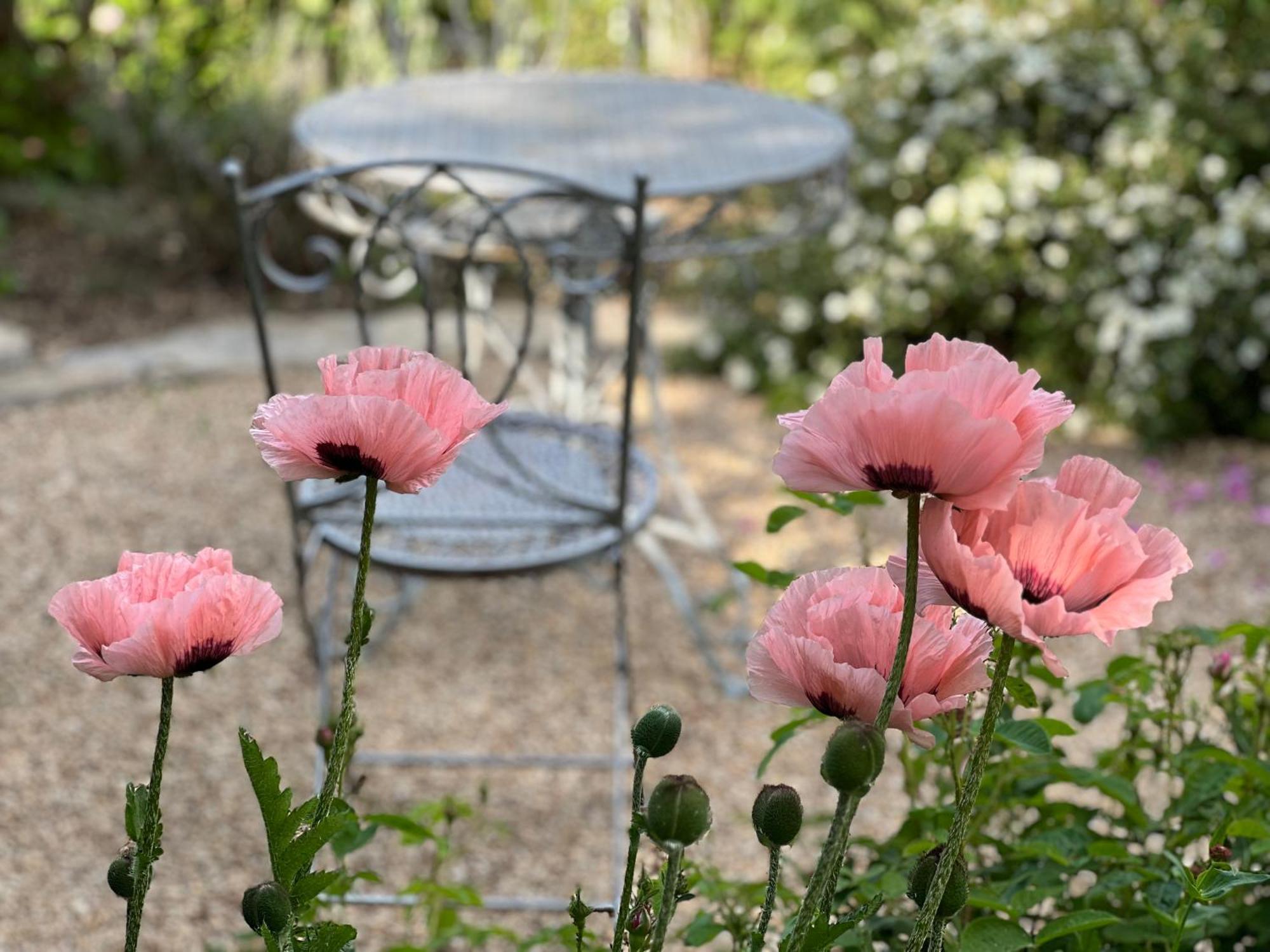 Rosenliebe Bed & Breakfast