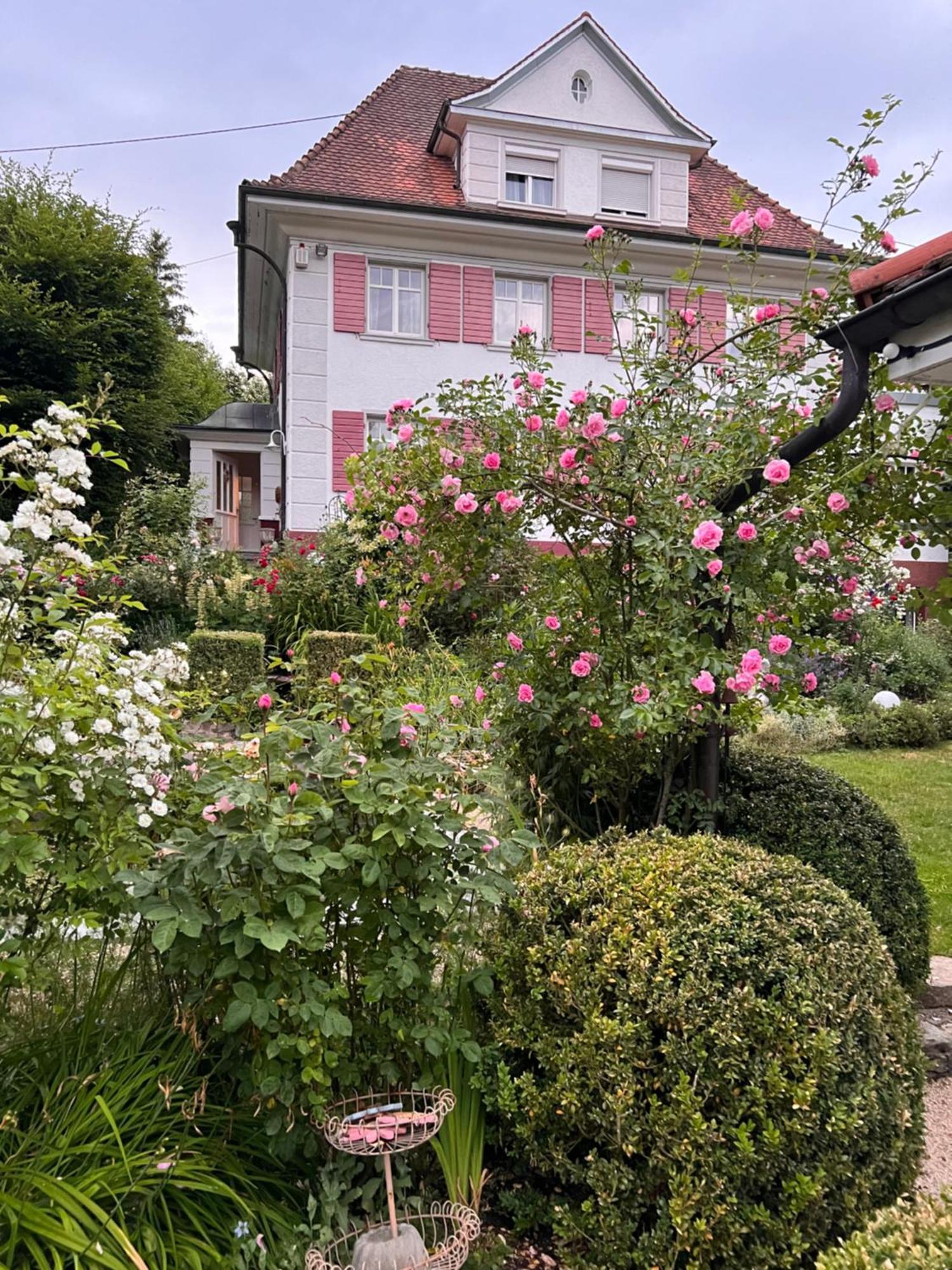 Bed & Breakfast Rosenliebe *